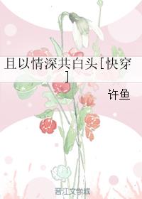 办公桌花心插的深