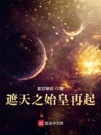 赘婿之吉星高照