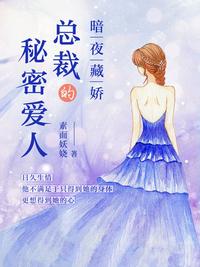 五女共夫胡本兴第2部分