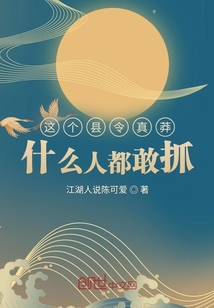 将军在上