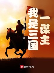 精武门甄子丹全集30集