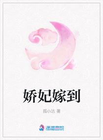 老师雅菲txt免费小说